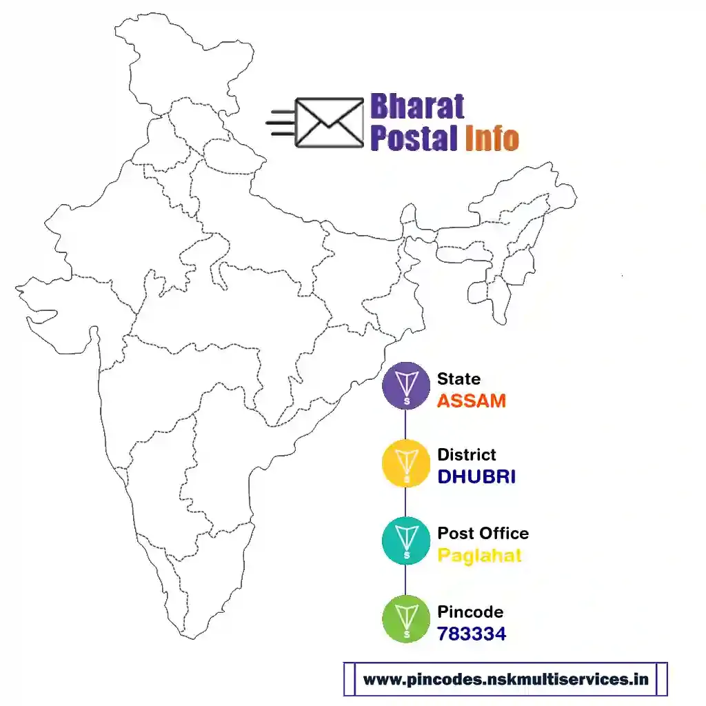 assam-dhubri-paglahat-783334